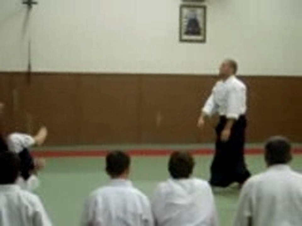 Aikido Yokomen Uchi Irimi Nage