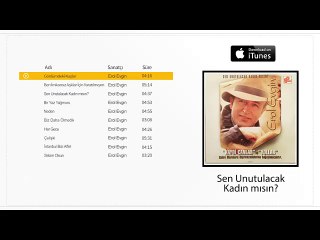 Erol Evgin - Gönlümdeki Kuşlar