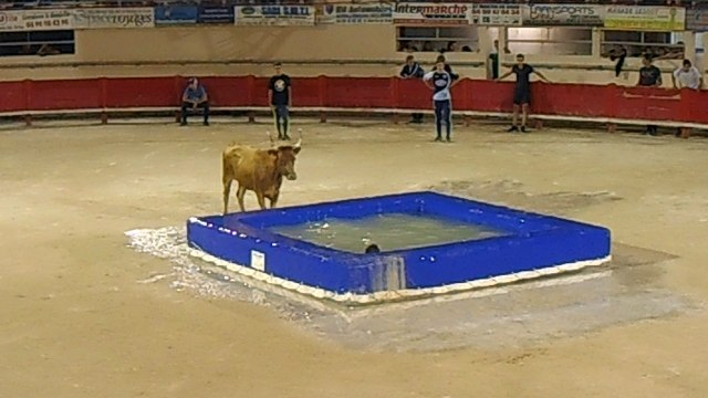 toro-piscine 2016