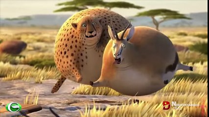 Khi thế giới động vật béo phì - Hài hước, ý nghĩa - YouTube