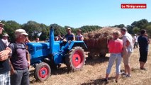 Crac'h (56) La fête des vieux métiers bat son plein