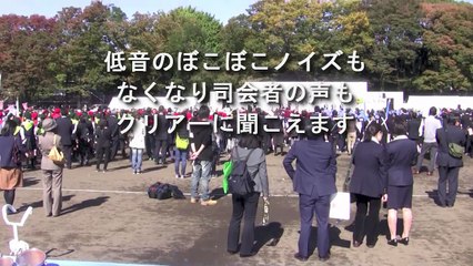 DayBreakAudio  ノイズ除去例１