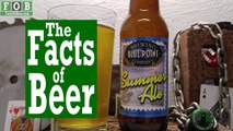 Facts of Beer - Summer Ale