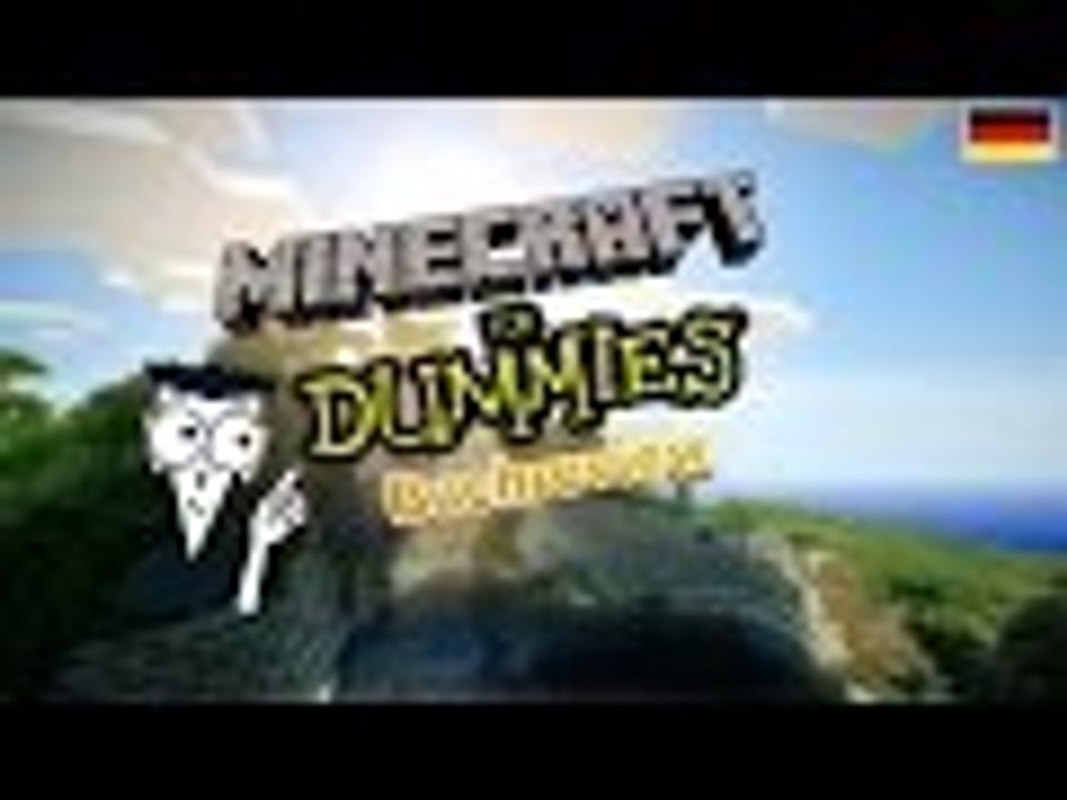 Nur für Dummies? | Buchreview 'MINECRAFT für Dummies' von Jacob Cordeiro