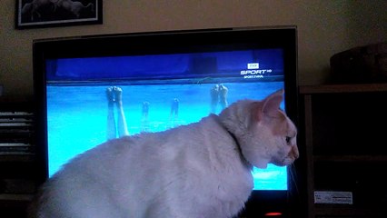 Grubas ogląda Olimpiadę