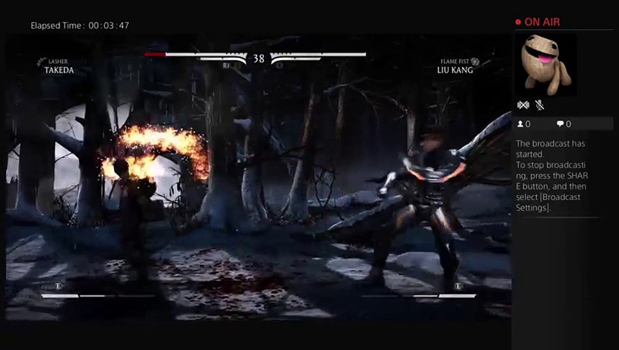littlemomatee's Live PS4 Broadcast (5)