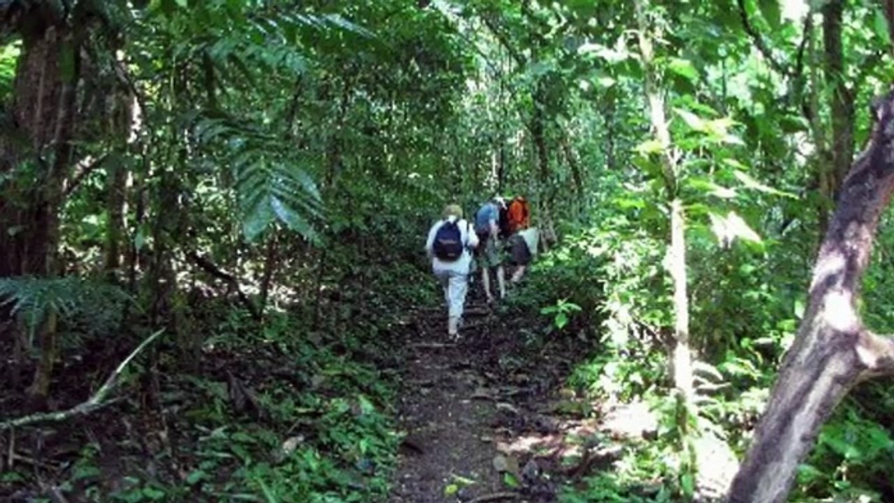 5 Luckiest People That Survived Deadly Snake Bites