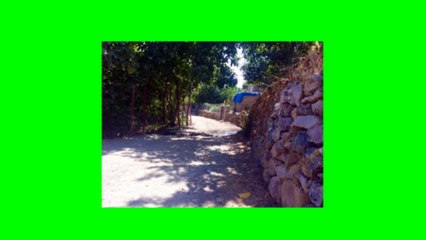 ريبر هبون , تنهيدة الغياب