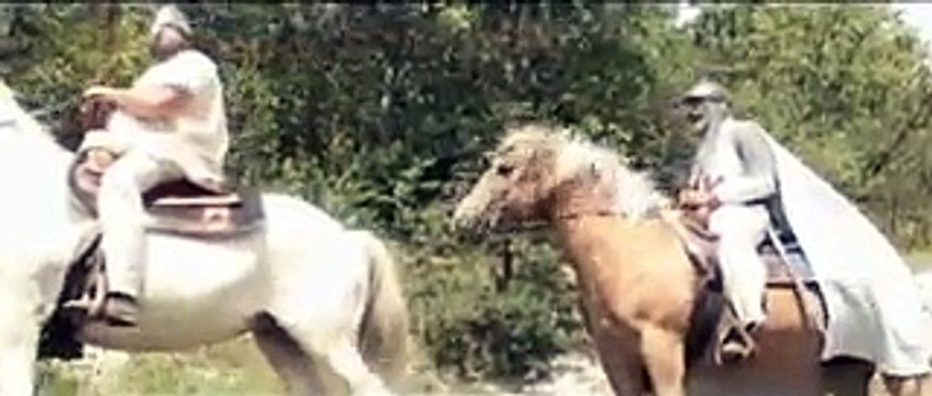 Hugues de Payns, fondateur et premier maître de l'Ordre du Temple (Templiers).