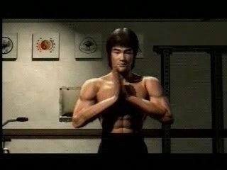 TEKKEN 5 bruce lee clip