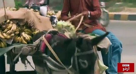 Fruit seller boy on BBC