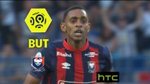 But Ronny RODELIN (32ème) / SM Caen - FC Lorient - (3-2) - (SMC-FCL) / 2016-17