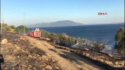 Balıkesir - Marmara Adası'nda Çıkan Yangında 20 Zeytin Ağacı Yandı