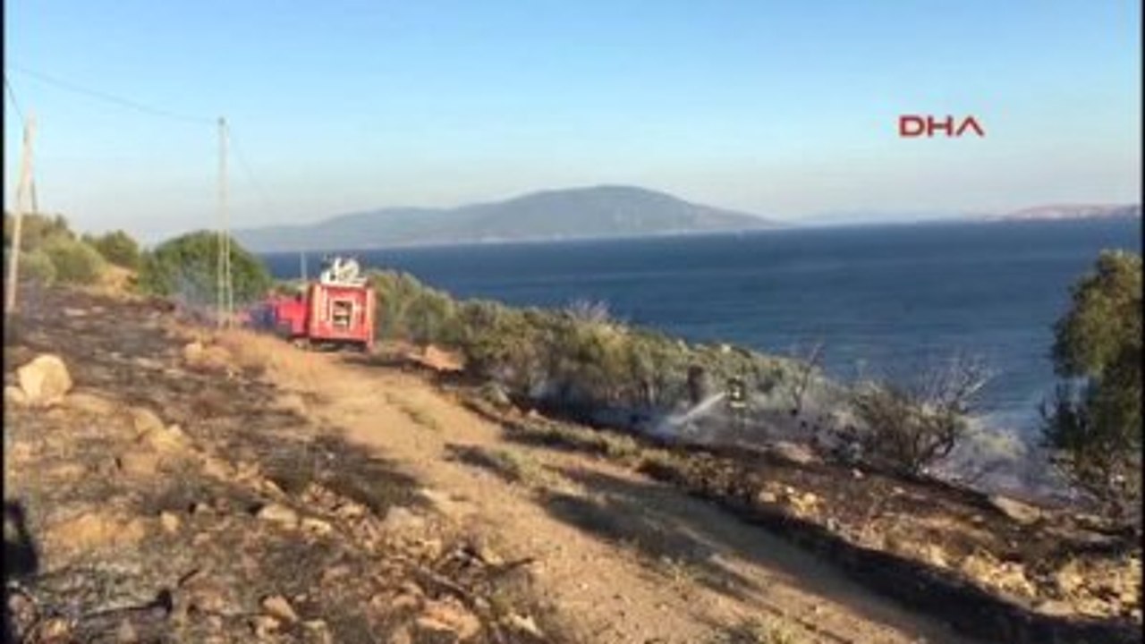 Balıkesir - Marmara Adası'nda Çıkan Yangında 20 Zeytin Ağacı Yandı