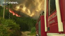 Fighting wildfires in Portugal and Spain