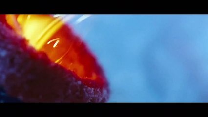 Le Territoire des loups  VF (2)