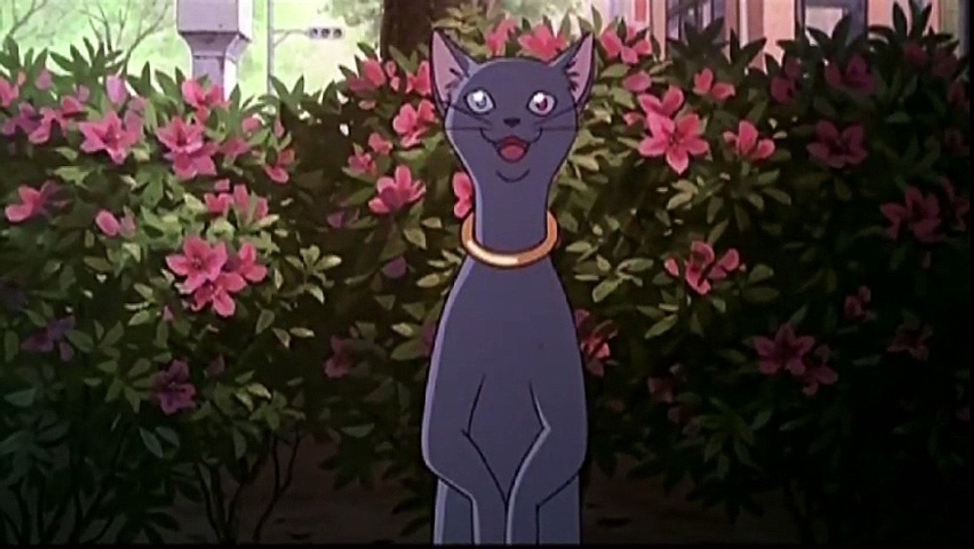 Le Royaume Des Chats Vf