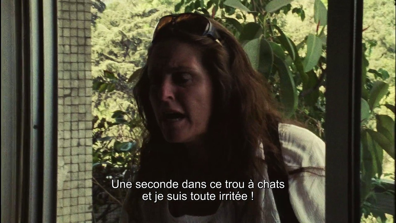 Les Vieux chats  VOST