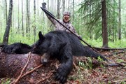 Mızrakla ayıyı öldüren avcı adam #ayı #mızrak #avcılık