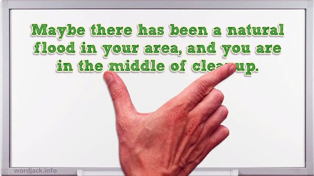 Mold Removal Remediation Experts Are Ready To Take Action