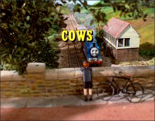 Thomas de Stoomlocomotief - Koeien (Cows - Dutch Dub)