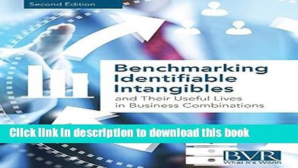 [Download] Benchmarking Identifiable Intangibles and Their Useful Lives in Business Combinations