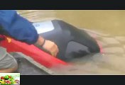 Must watch_ Dramatic Louisiana flood rescue from sinking car