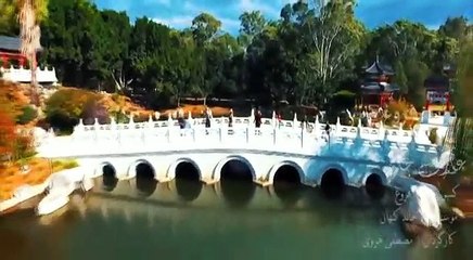 Pashto New Song 2016 Navid Foroch - Khalona HD