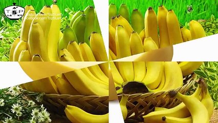 5 Bộ phim bom tấn nổi tiếng bị cấm chiếu vì lý do hài hước