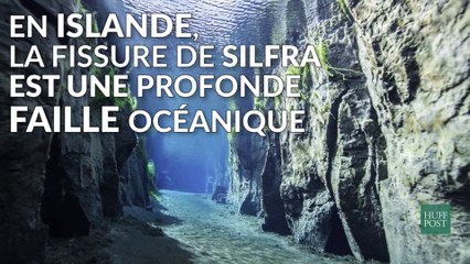 Voilà ce que ça fait de nager entre deux continents