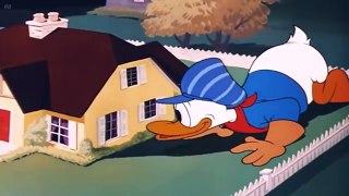 Chip and Dale Cartoons & Donald Duck Full Episodes - Mickey Mouse, Pluto.