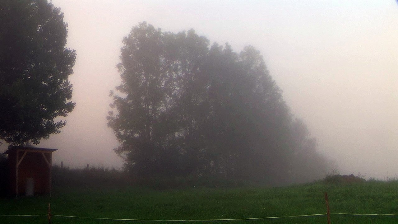 Morgenstimmung