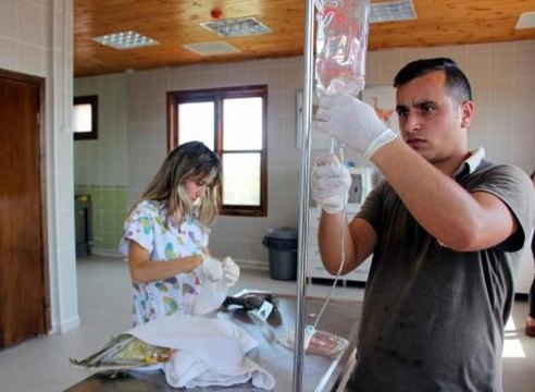 Samsun İlk Yardım Ünitesi 105 hayvanı hayata döndürdü