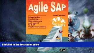 Big Deals  Agile SAP: Introducing flexibility, transparency and speed to SAP implementations  Best