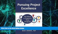 Big Deals  Pursuing Project Excellence: Six Ideas to Improve Your Projects  Best Seller Books Best