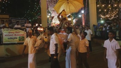 Los animales, los grandes protagonistas de la procesión del ganado en Sri Lanka