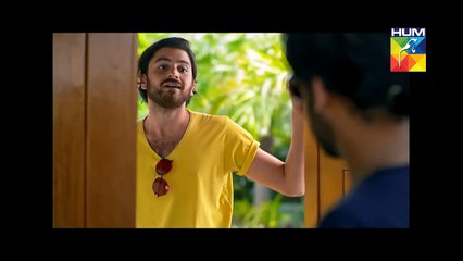 Udaari upcoming Pakistani Hum TV drama serial - Dailymotion