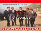 Les Chats Sauvages & Mike Shannon_Derniers baisers (Bobby Vinton_Sealed with a kiss)(1962)