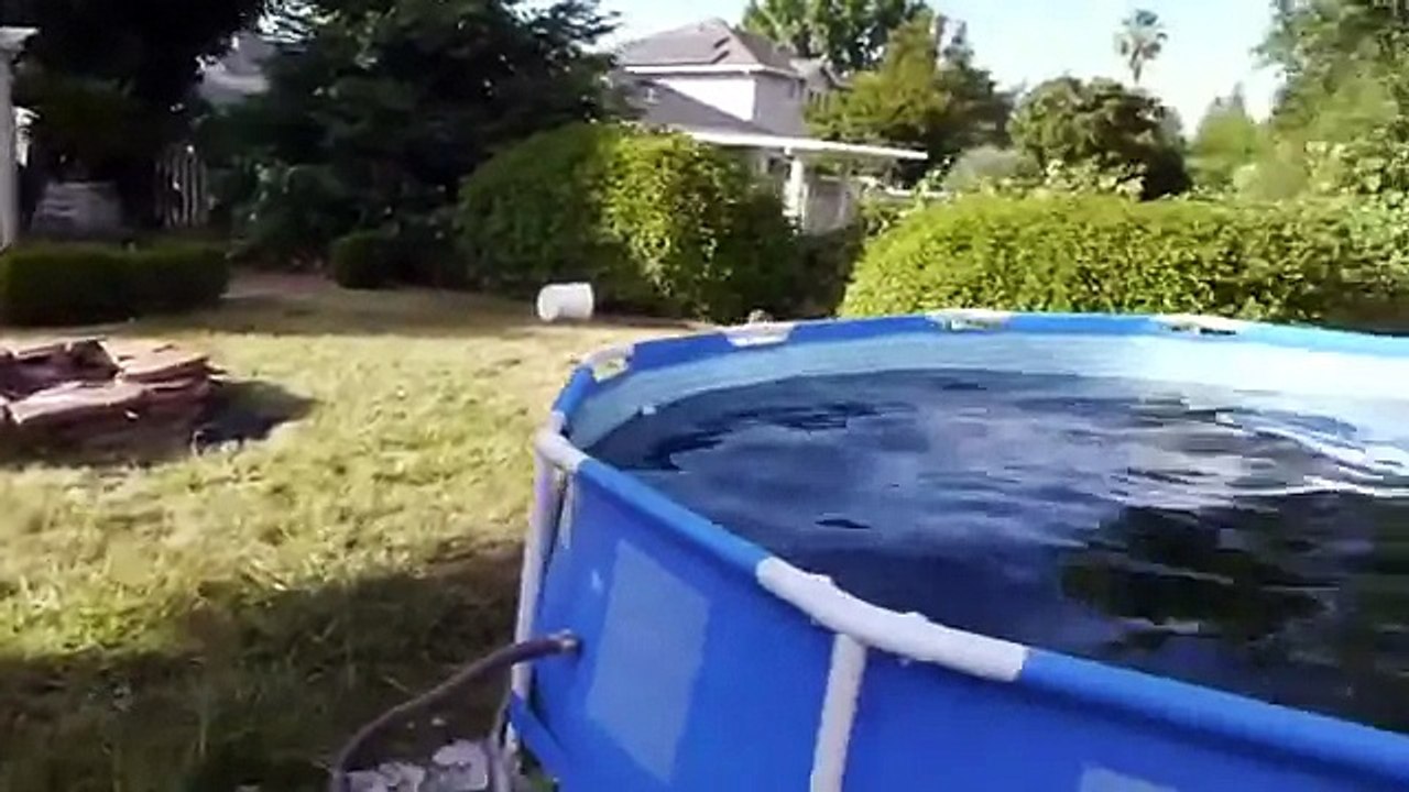 Il rempli sa piscine avec 1500 bouteille de Coca Cola