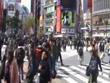 The famous Shibuya Crossing