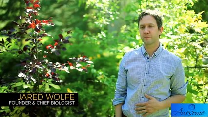 Amazing Inventions You Need To See#4