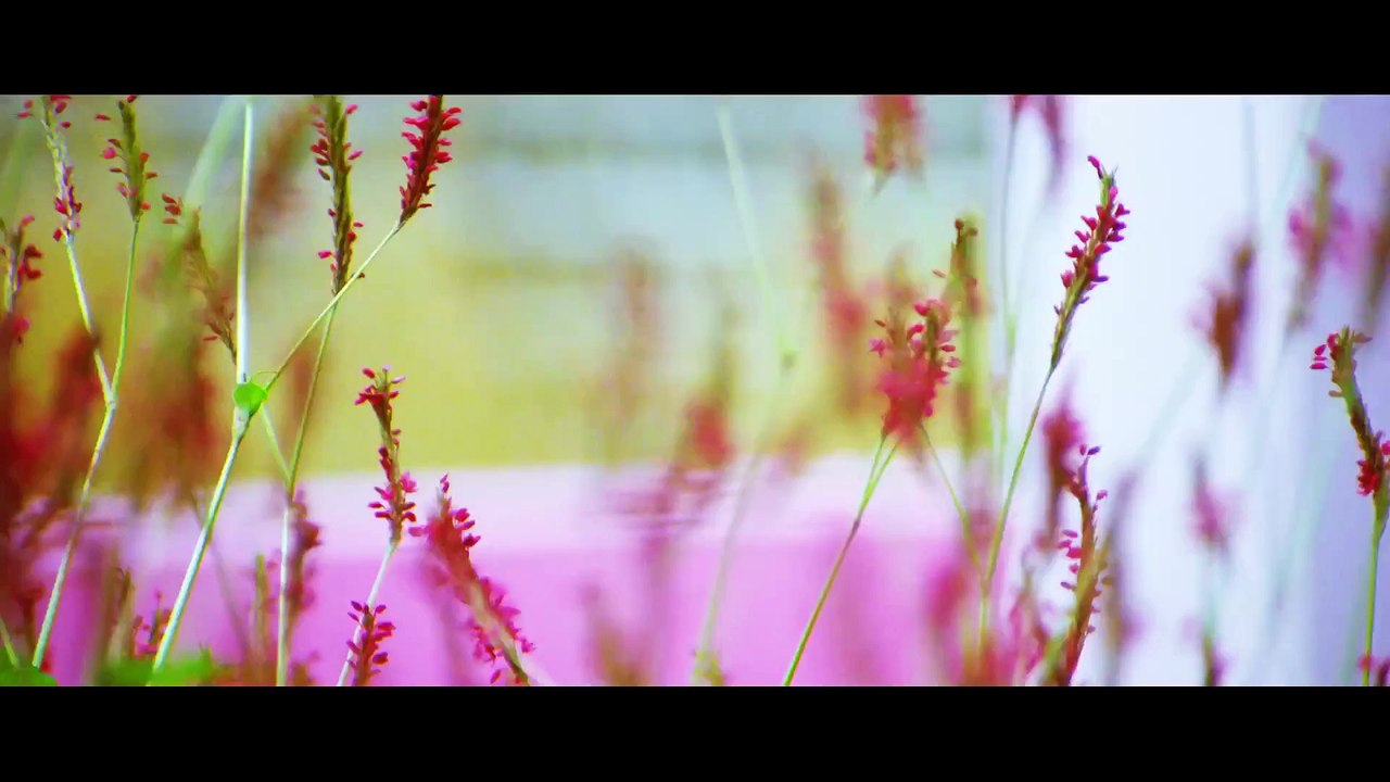 Poda Podi - Go Boy - Go Girl - VO