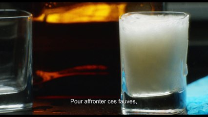 Les Amants Passagers - Teaser VOST