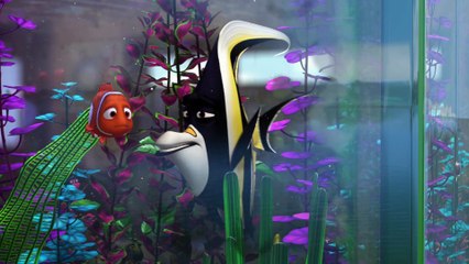 Le Monde de Nemo (3D) - Extrait (3) VF