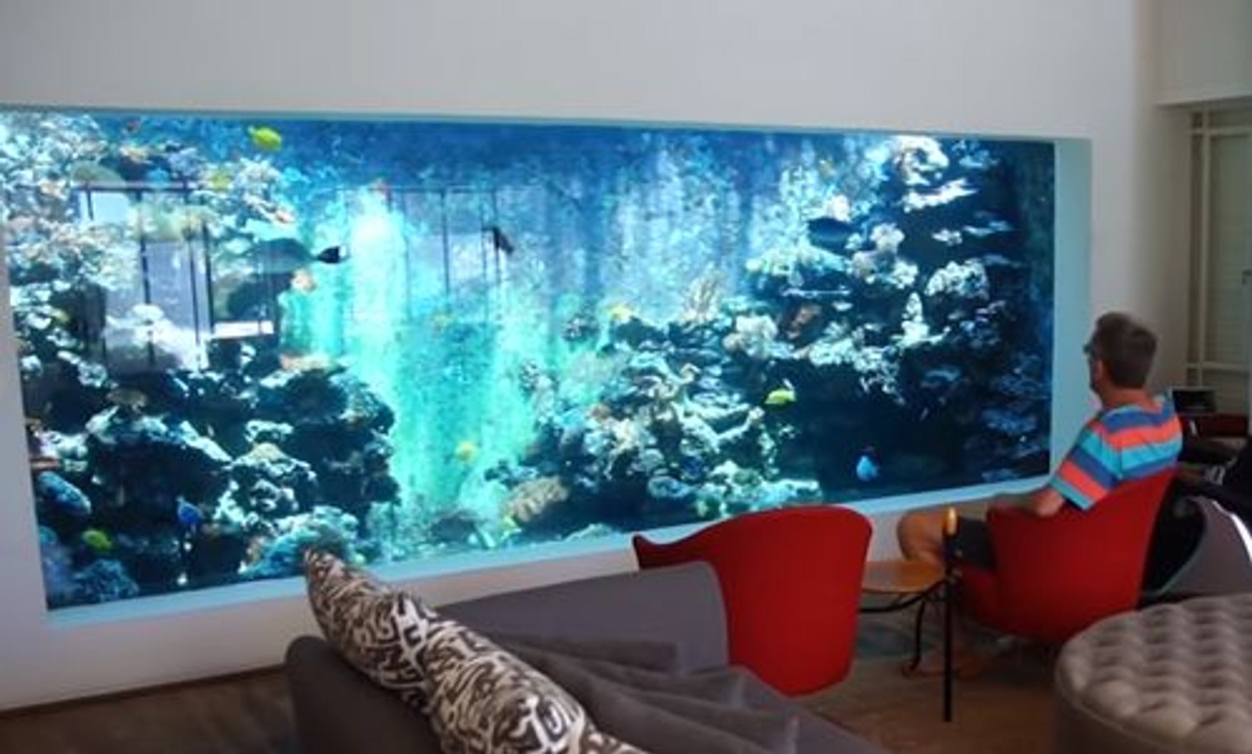 Il installe un aquarium géant de 30 000 litres dans sa maison ! - Vidéo  Dailymotion