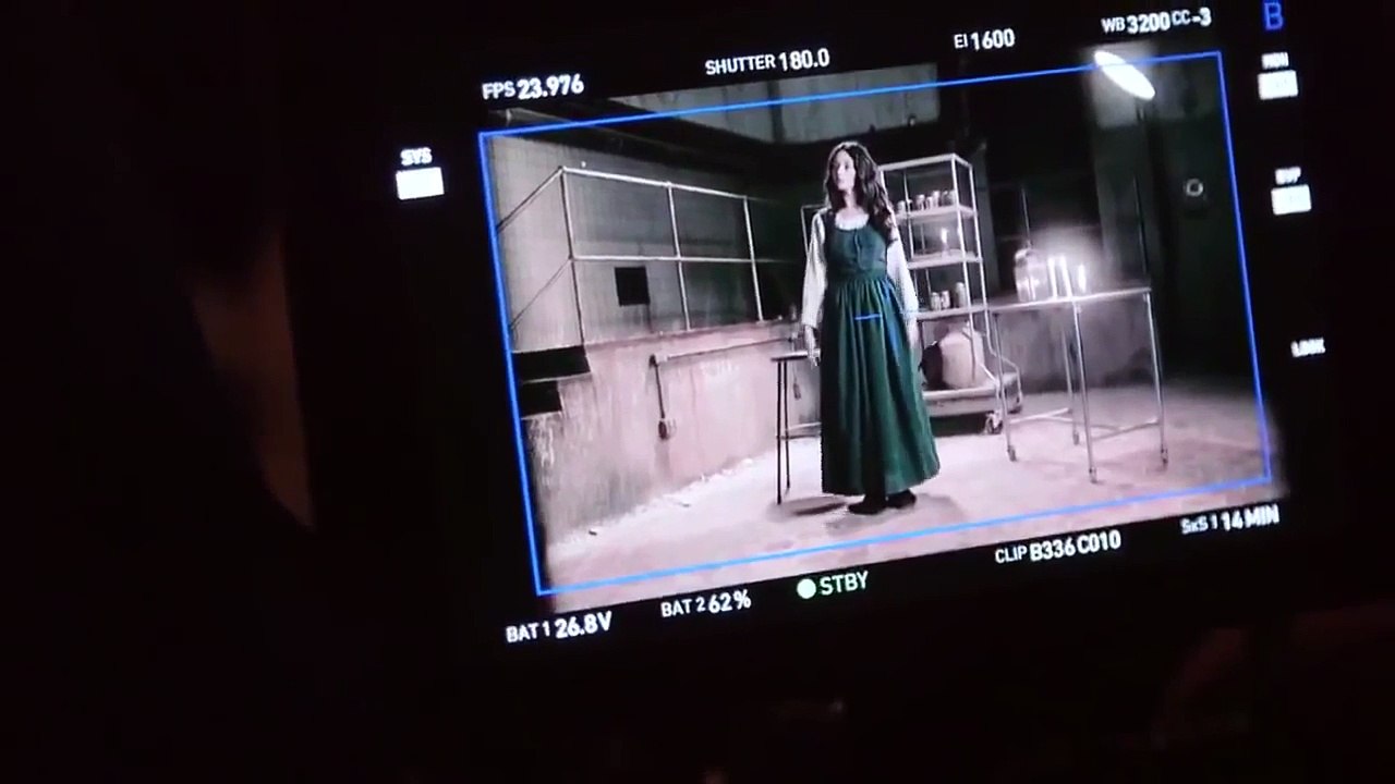 Teen Wolf - saison 5B (Crystal Reed)