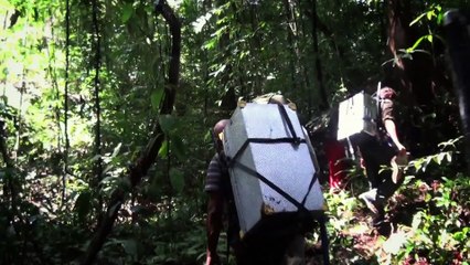 Chimpanzés - Making Of (2) VOST