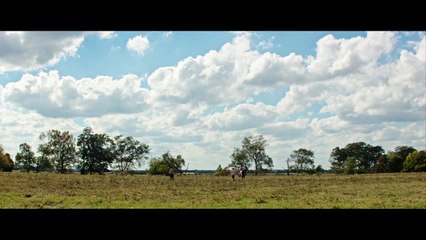 I Saw the Light - Extrait (4) VO