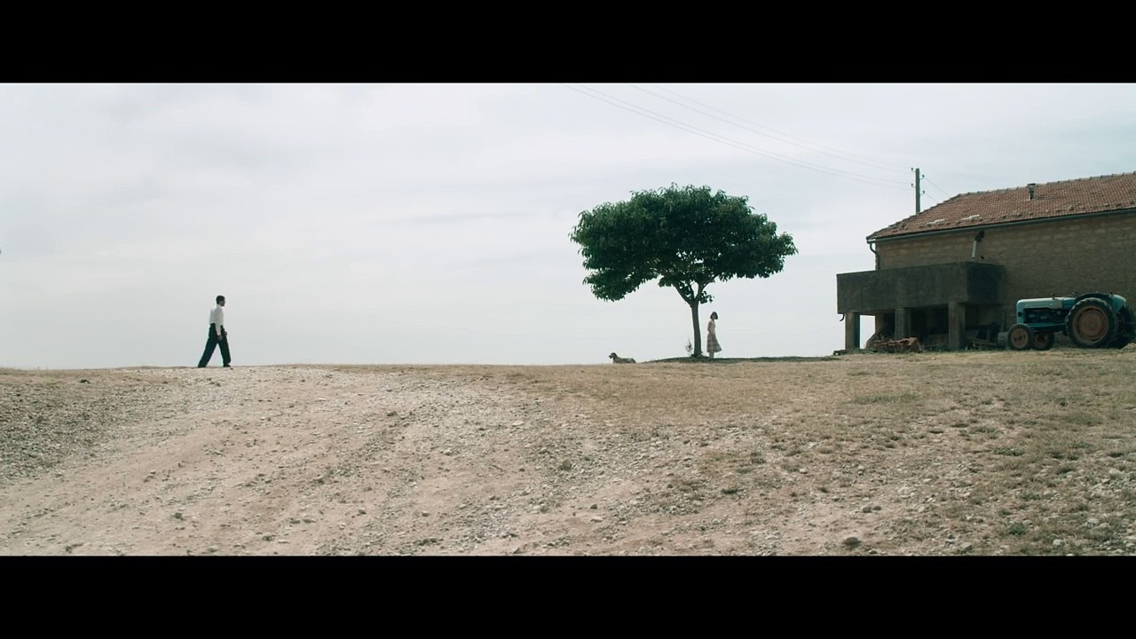 Mal de pierres - Extrait