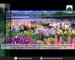 Pyara Pakistan - Rab Ki Nemat Rab Ki Ata - Documentary Film